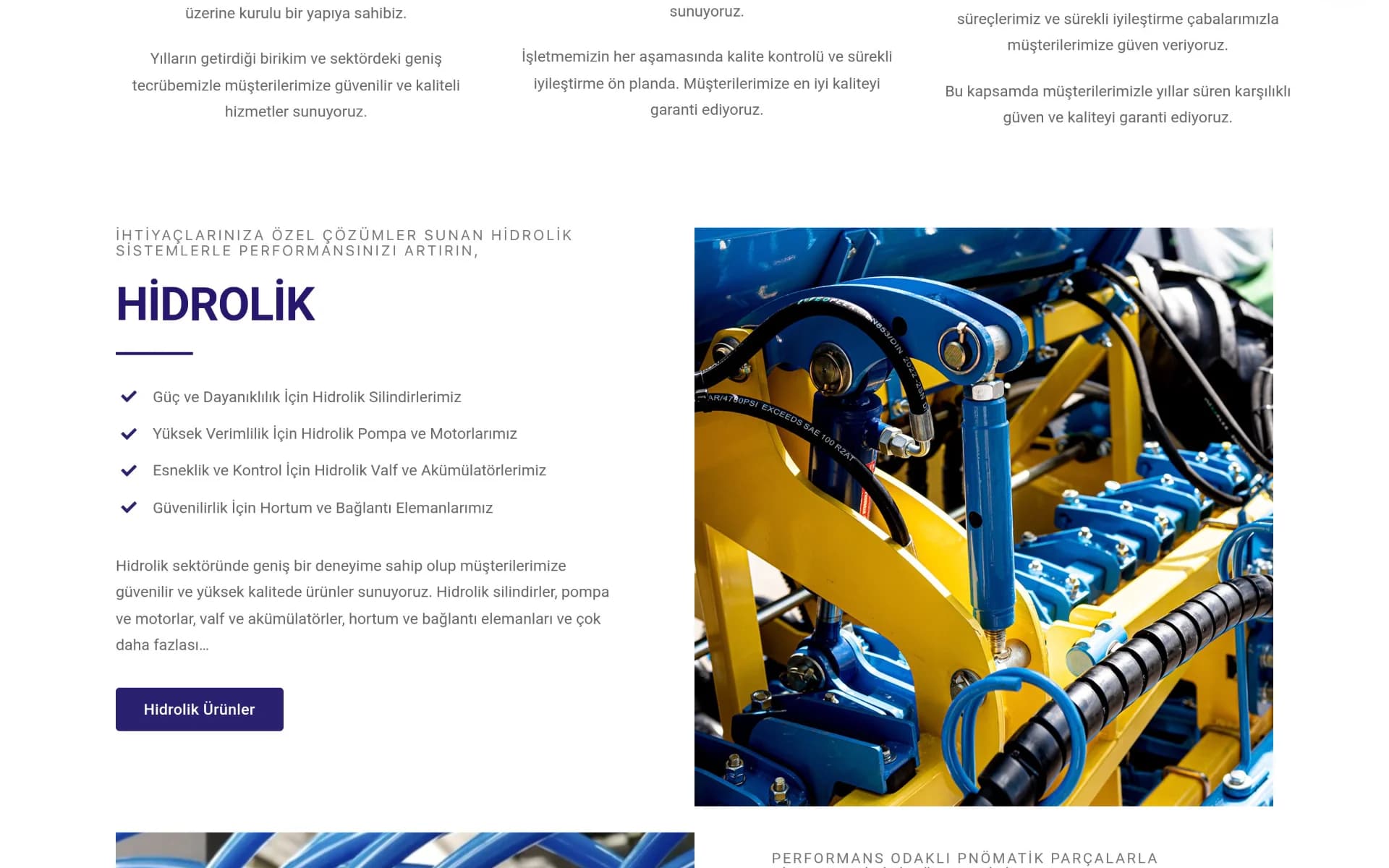 Hidro Özçelik Corporate Web Design screenshot 2