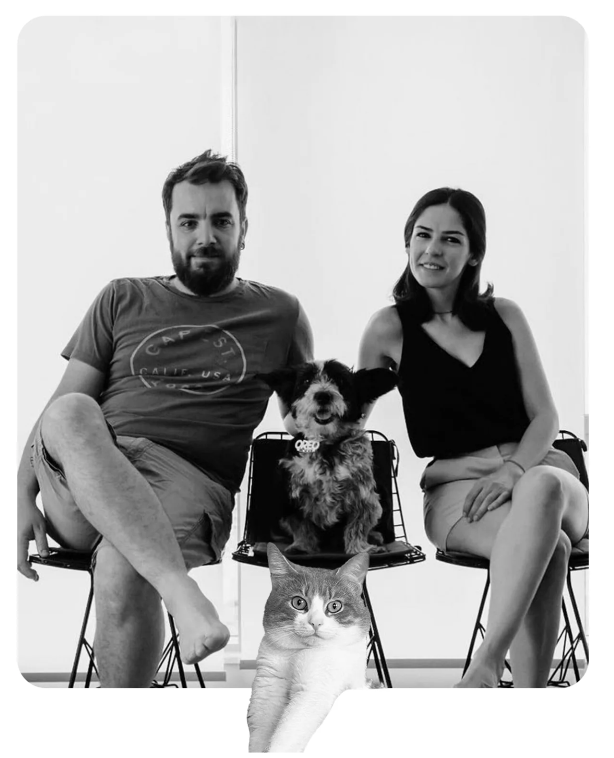 Team - Qreotive Studio